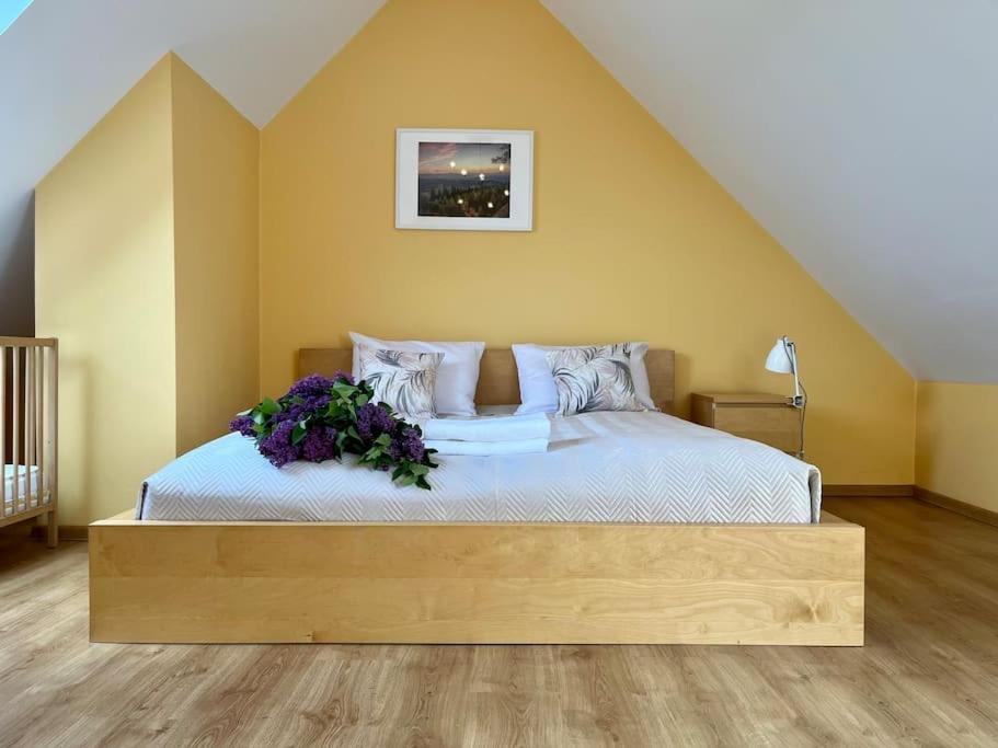 Apartament Hemingwaya 옐레니아구라 외부 사진