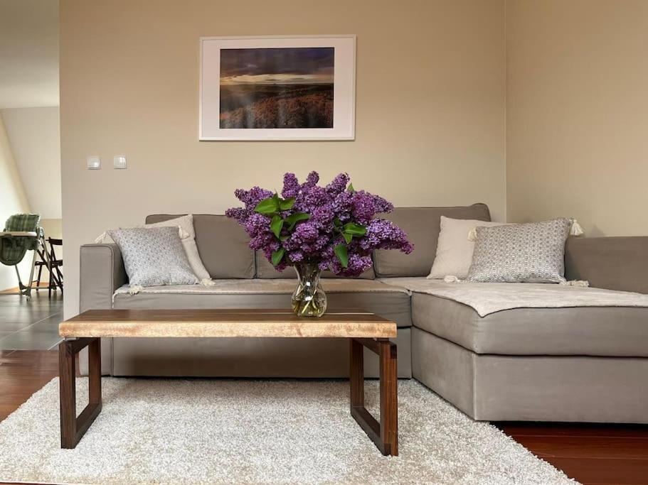 Apartament Hemingwaya 옐레니아구라 외부 사진